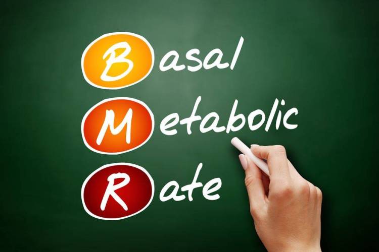 bmr-basal-metabolic-rate-acronym