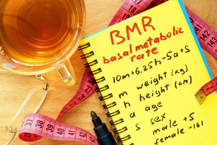 bmr-basal-metabolic-rate-calculation-formula
